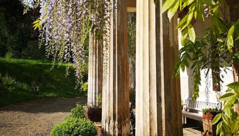 Zwiedzanie Pałacu w Rząsinach Organizatorzy