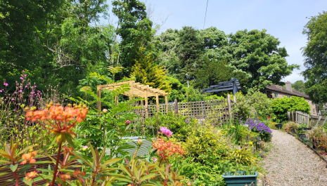Kilbarchan Smile - The Old Library Centre