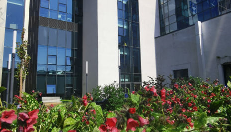 School of Life Sciences, University of Dundee