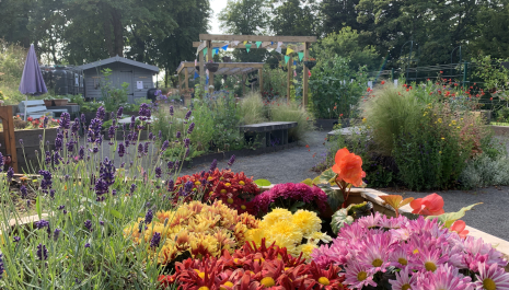 Paisley - The Walled Garden and Community Garden Barshaw Park