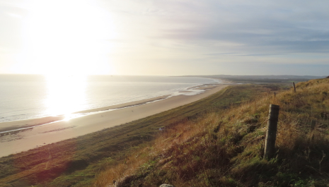 St Cyrus National Nature Reserve