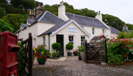 Patricia Niemann Design - Studio and Showroom