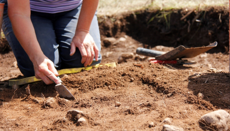 Priorwood Garden Excavation