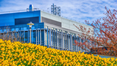 The Rowett Institute