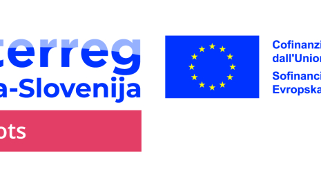 Sledi umetnosti v čezmejnem prostoru: neodkriti avtorji med Vipavo in Sočo