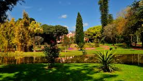 Descubra o Jardim do Palácio de Sant'Ana