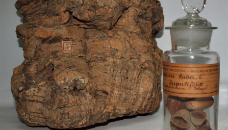 Tesouros do património natural