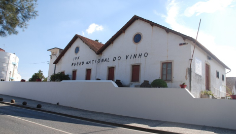 ADEGA DO OLIVAL FECHADO: Da Arquitetura Funcionalista da Adega Raposo Magalhães à Arquitetura Industrial da Junta Nacional do Vinho