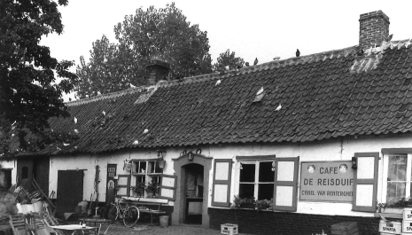 De mythe van Hansbeke - Café De Reisduif