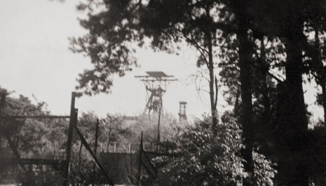 Op wandel doorheen Zwartberg