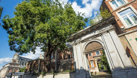 Bekijk het Atrechtcollege in de schoenen van een porreke