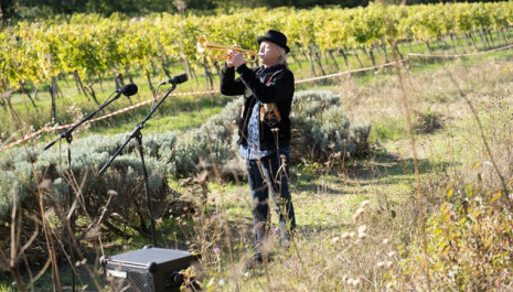 Die Grube / The Pit in Breitenbrunn