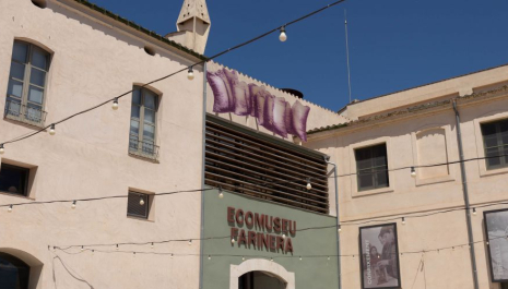 Jornada de portes obertes a l'Ecomuseu de Castelló d'Empúries