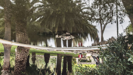 El Parc de Can Mercader. Una passejada pel jardí romàntic
