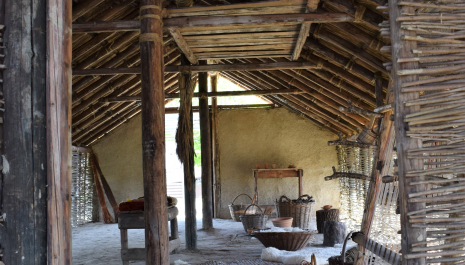 IL FORCELLO. L'archeologia per costruire ponti tra passato e futuro