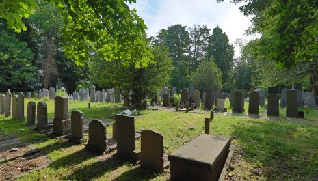 Rondleidingen, historische koets en theatrale wandel...