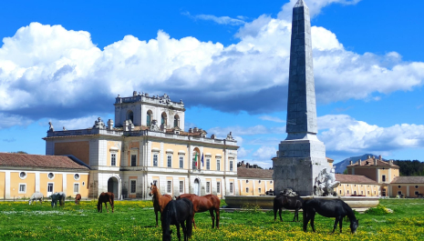 GEP 2025 | Carditello Experience – Edizione Autunnale GEP 2025 “Architetture: l’arte di costruire”