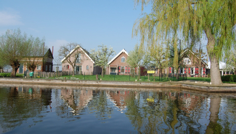 Kaas- en ijsboerderij ‘De Willigen’