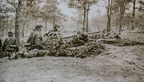 Erfgoedwandeling door Landschap de Liereman