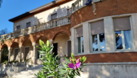 Storia di un incontro: la collezione Invernizzi e Villa Faravelli