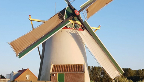 D31 Groeneveldse Molen