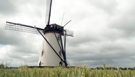 Molen Buiten Verwachting