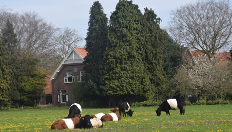 Lakenvelderhoeve Klein Graffel