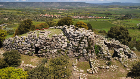 L' arte del costruire: architetture animali e vegetali