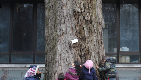 Una casa chiamata Alberto