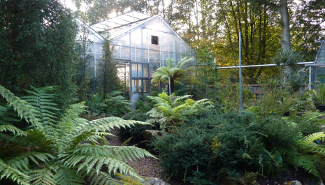 Botanische tuin Pinetum Blijdenstein