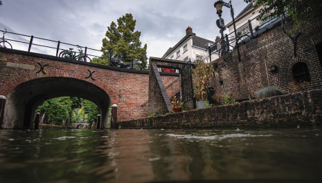 Wandeling met gids door wervengebied