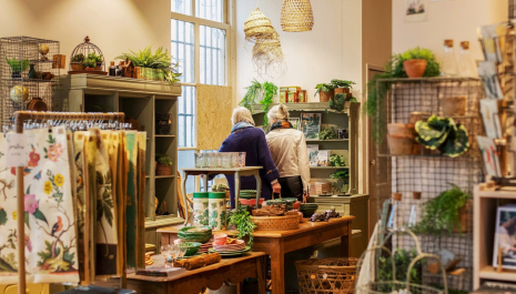 Bluebirds in the Backyard