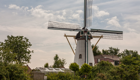Molen de Dankbaarheid Herkingen