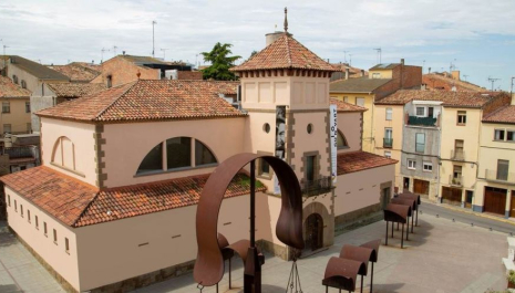 Espai Guinovart - visites a la fundació