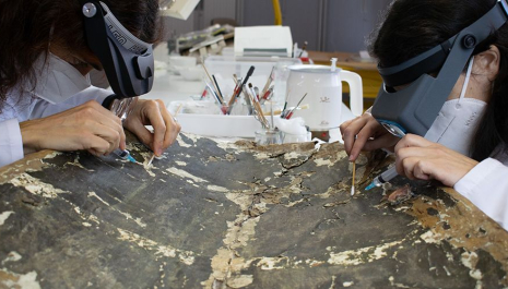 Posa't la bata i agafa la lupa, avui seràs metge del patrimo