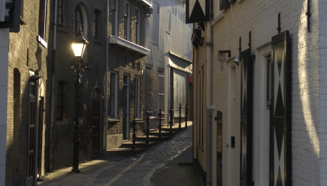 Stegenwandeling door de Schiedamse binnenstad
