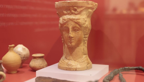 Visita guiada al DO Vinífera. CI Font de la Canya