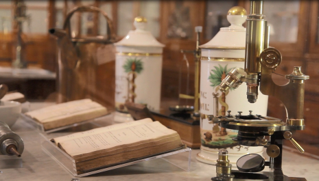 Da Botica à Farmácia de Oficina