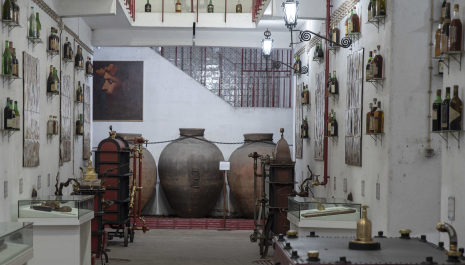 Museu do Vinho de Alcobaça