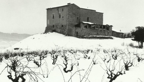 Visites guiades al Castell de Plegamans