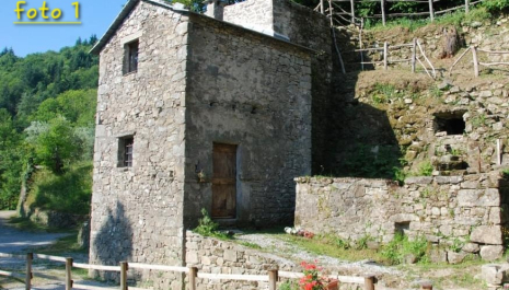 Visitando il Mulino: storia e cultura del territorio - GEP 2025