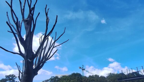 Pawiak- Najnowocześniejsze więzienie XIX wiecznej Warszawy Organizator