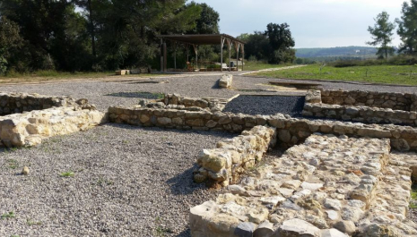 Visita guiada al Jaciment ibèric de la Font de la Canya