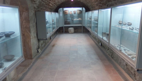 Portes obertes al Museu de Prehistòria d'Artesa de Lleida