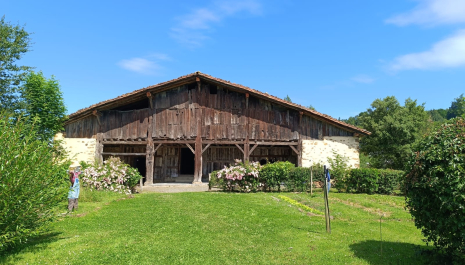 ACEITE DE BALLENA Y JABÓN