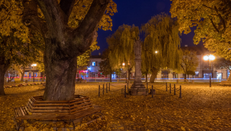 Dziedzictwo Żydów włoszczowskich - kultura i architektura Organizator