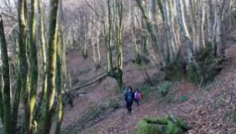 EL FLUIR DE LA HISTORIA: CAMINOS DE CULTURA Y AGUA EN BERGARA