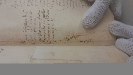 Armonie dal medioevo