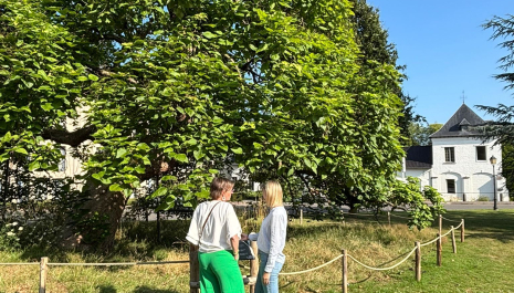 Houtig Erfgoed in de kijker