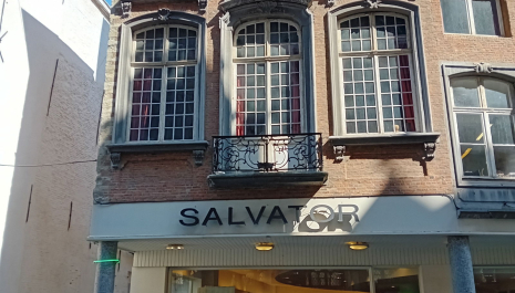 Mechelse stenen gevels : een exclusieve stadswandeling met gids